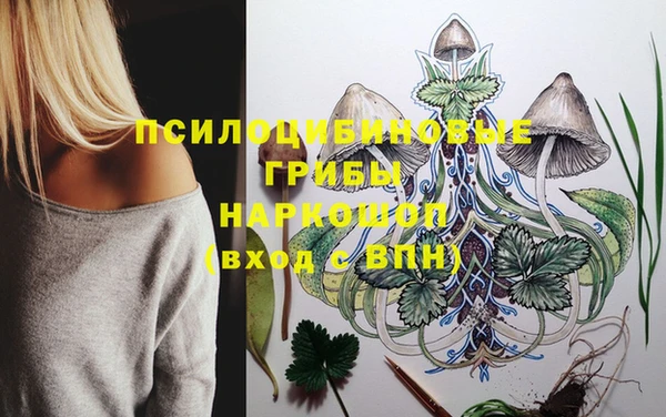 гидропоника Белоозёрский