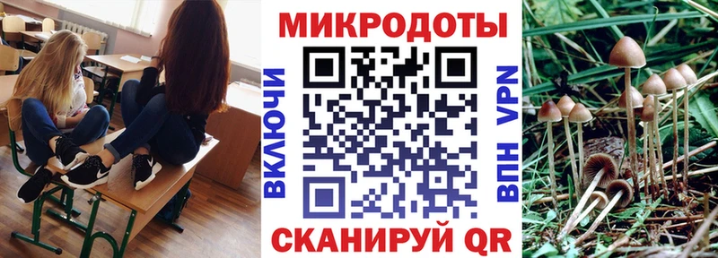 Псилоцибиновые грибы ЛСД Купить закладки Куса